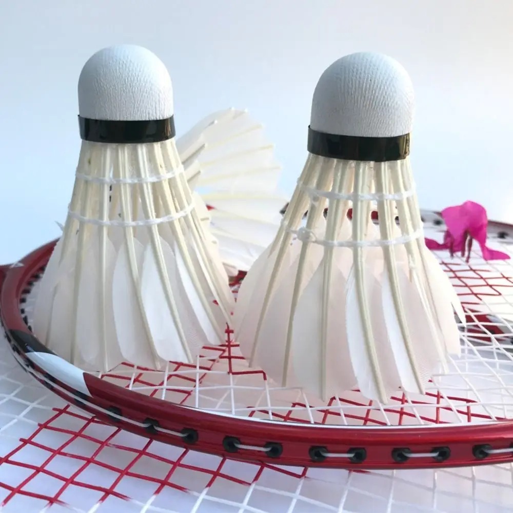 3/6/12PC Badminton Shuttlecock - Badminton League 评论和价格